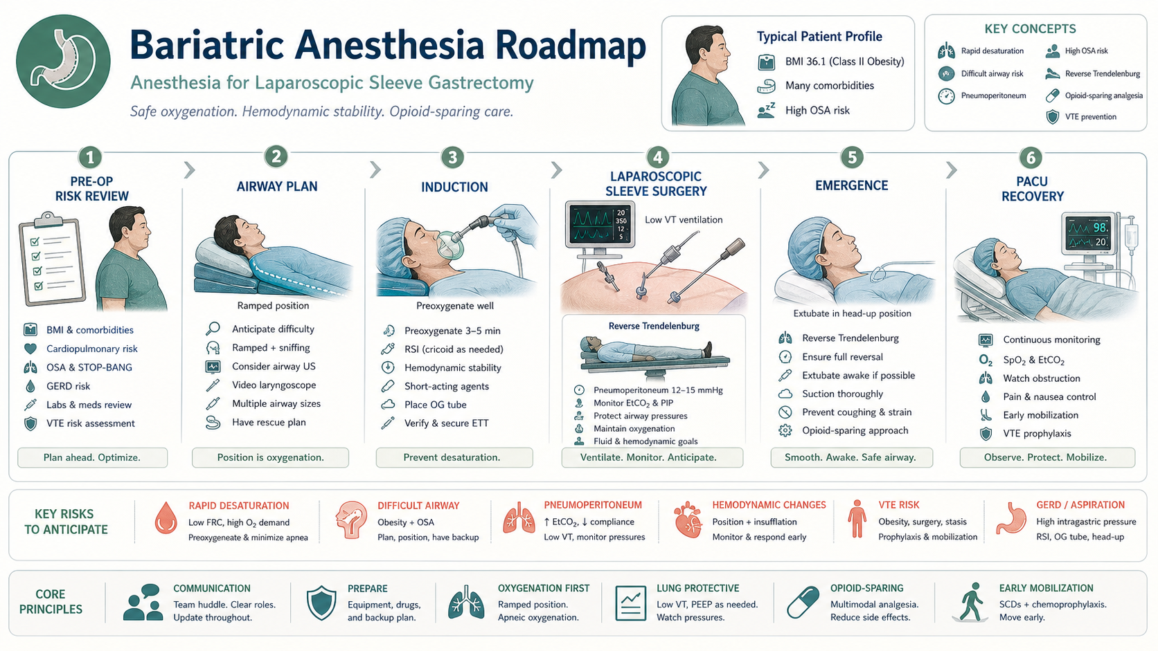 Bariatric anesthesia roadmap