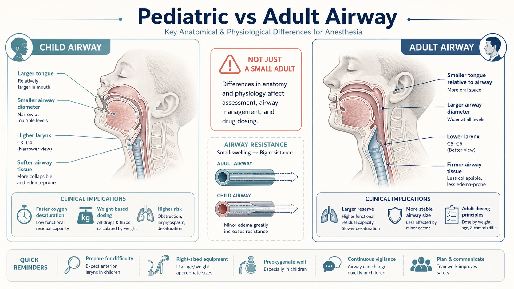 Pediatric versus adult airway infographic