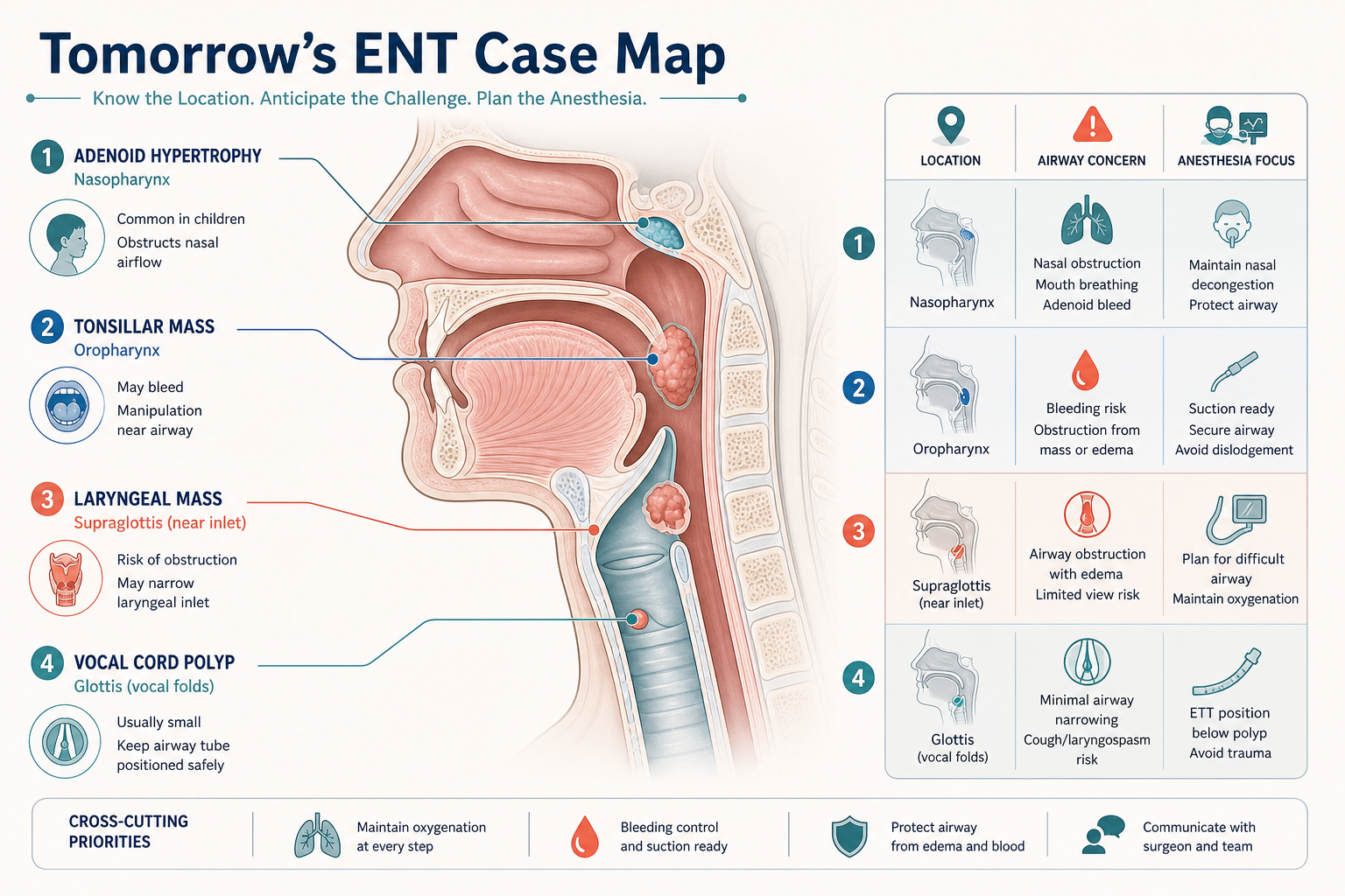 Tomorrow's ENT case map