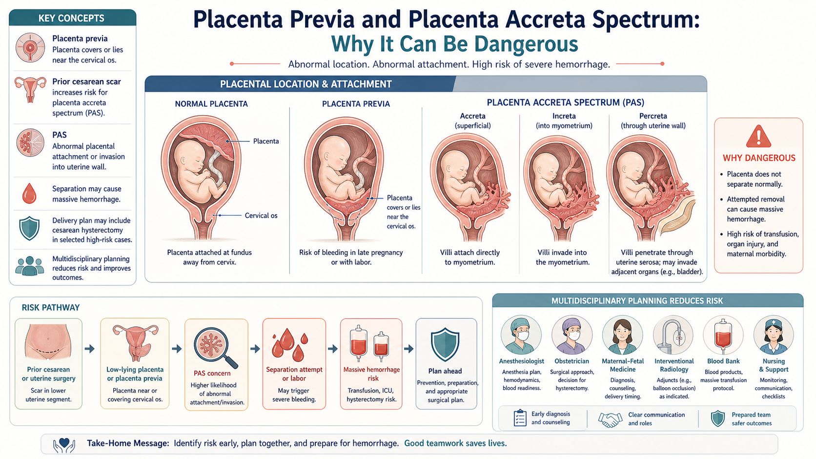 Placenta previa and placenta accreta spectrum mechanism