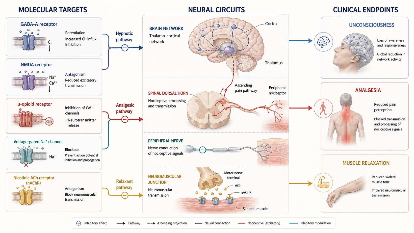 Molecular targets to endpoints
