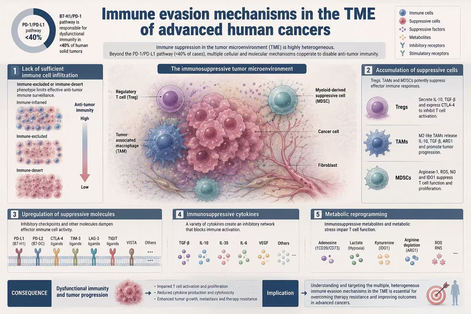 Scientific infographic example